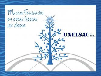 Saludos Navideños 2013 